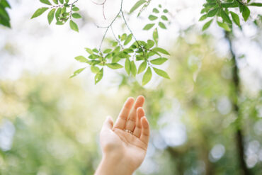 Colorimétrie thérapeutique : identifier les couleurs qui vous ressemblent vraiment